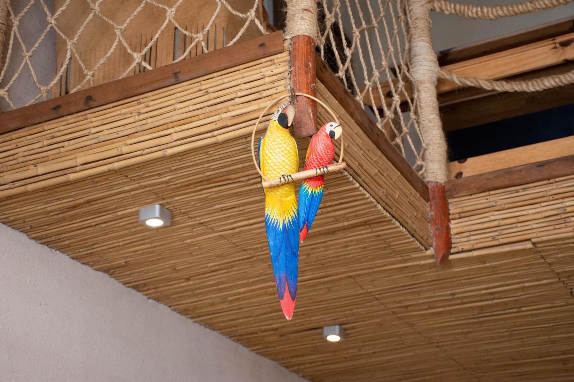 Demeure De La Compagnie Generale Des Huiles Precieuses Bed and Breakfast Ifaty Kamer foto